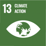SDG_13