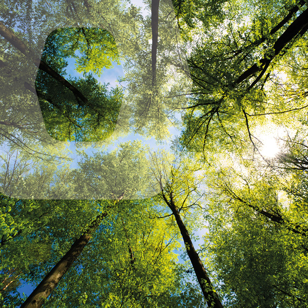 1_ambiente_600x600 1_ambiente_600x600